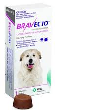 bravecto.jpg